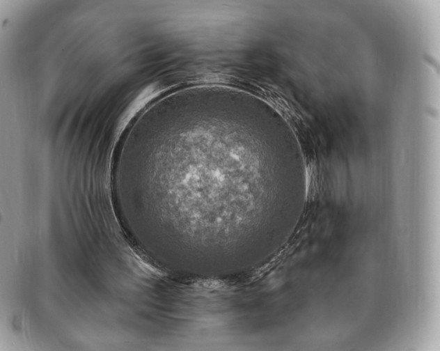 X0000091290195200708171353