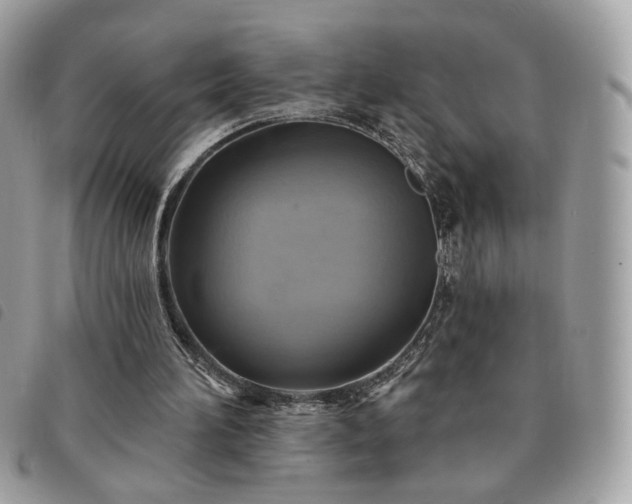 X0000091290196200708171353