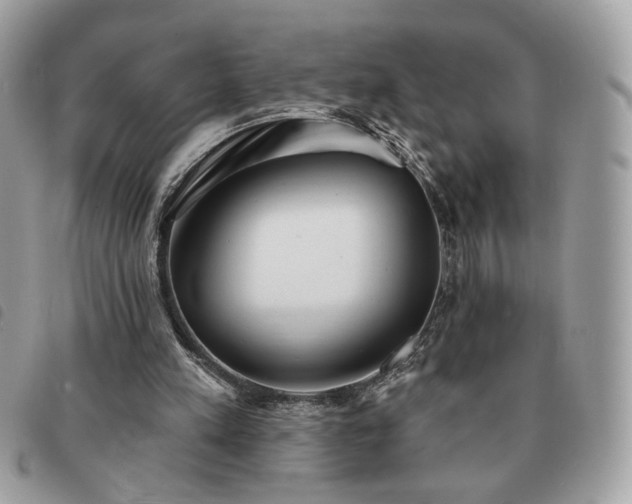 X0000091290197200708171353