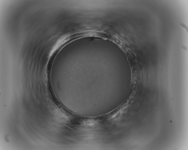 X0000091290198200708171353