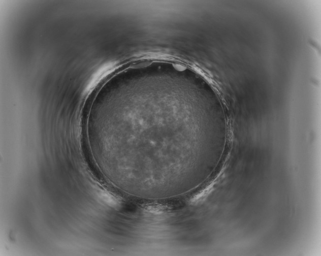 X0000091290199200708171353