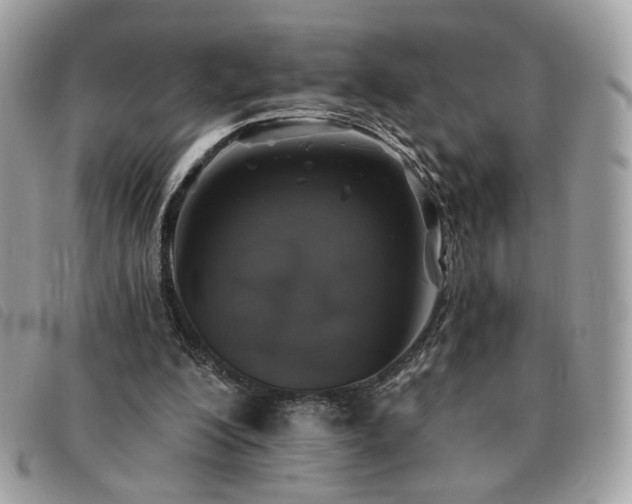 X0000091290200200708171353