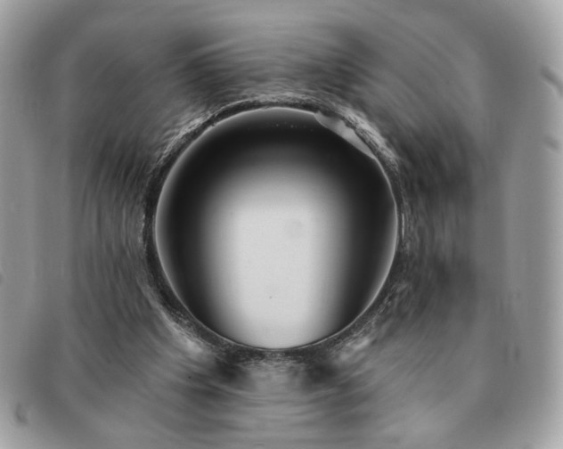 X0000091290201200708171353