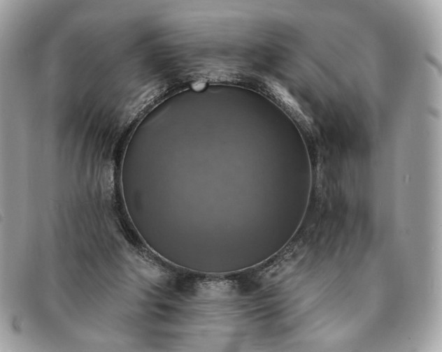 X0000091290202200708171353