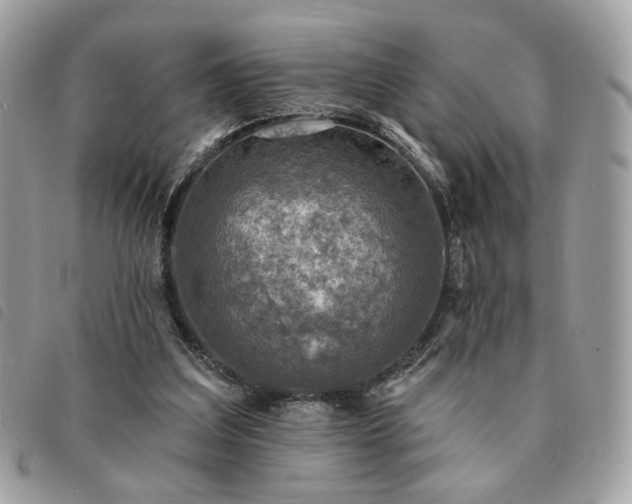 X0000091290203200708171353