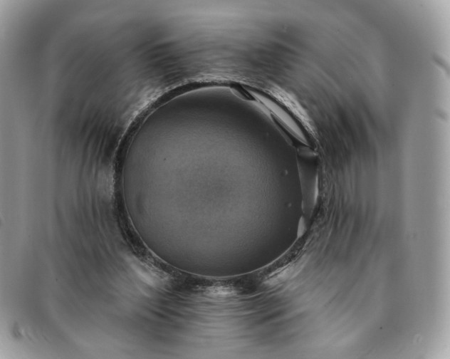 X0000091290204200708171353