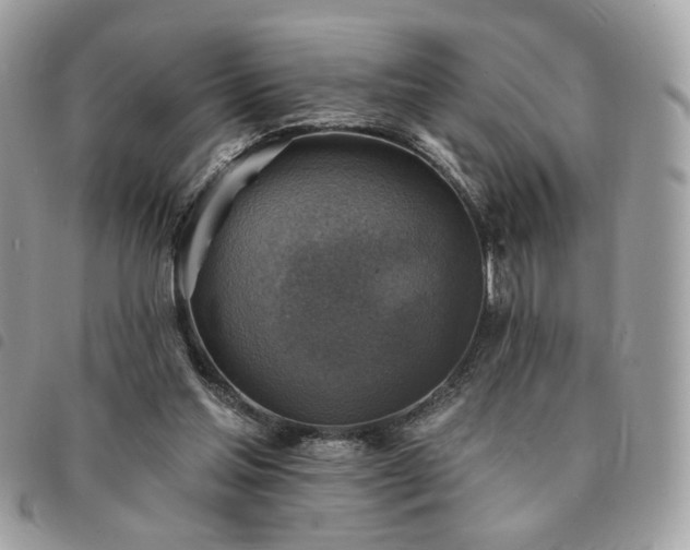 X0000091290205200708171353