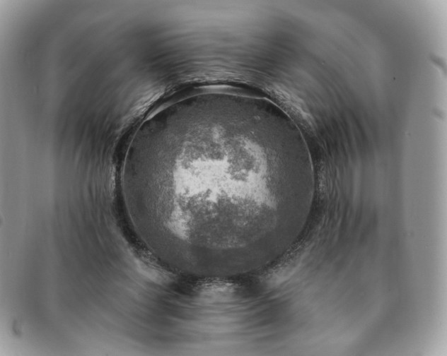 X0000091290206200708171353