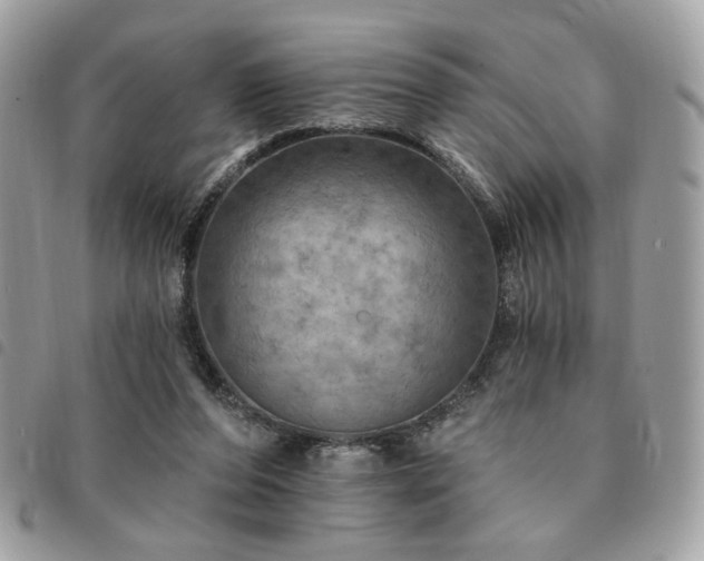 X0000091290208200708171353