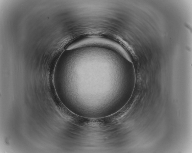 X0000091290209200708171353