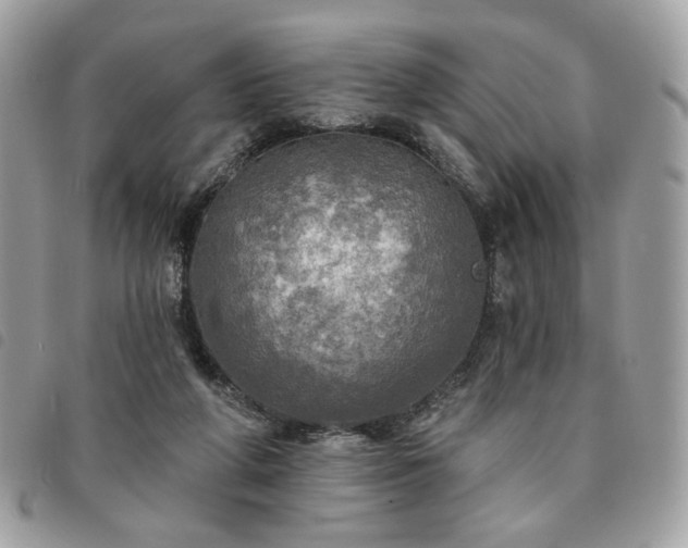 X0000091290210200708171353