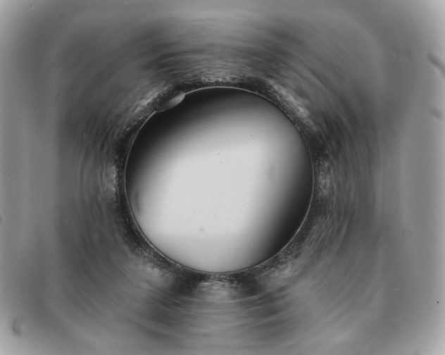 X0000091290211200708171353