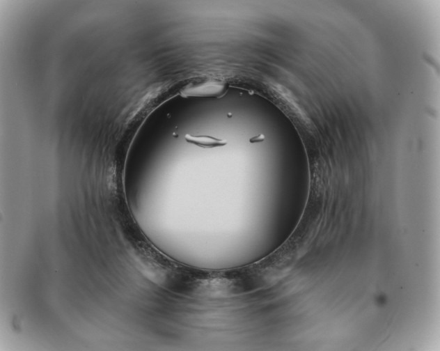 X0000091290212200708171353