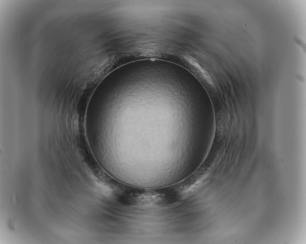 X0000091290213200708171353