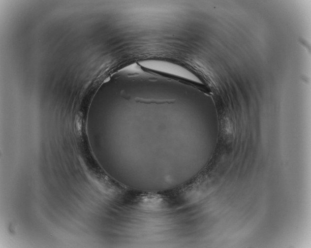 X0000091290214200708171353