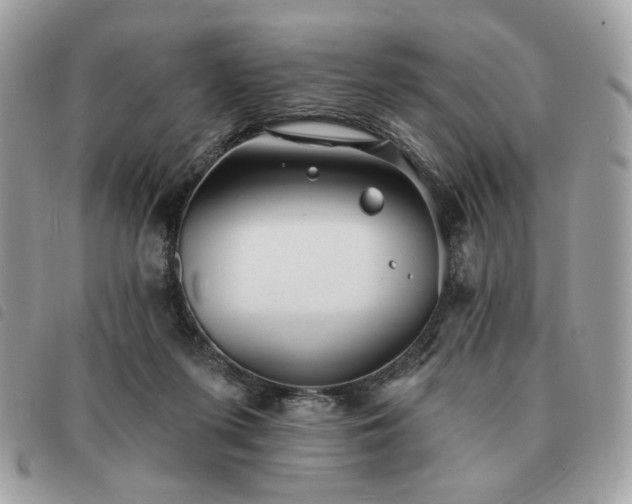 X0000091290215200708171353