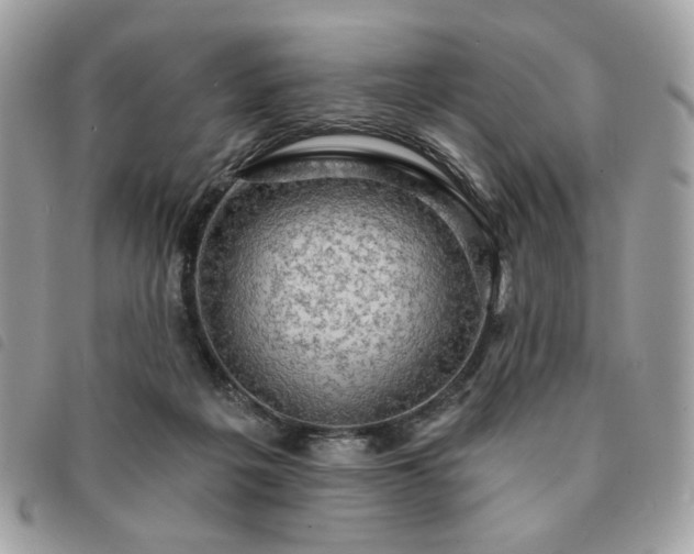 X0000091290217200708171353