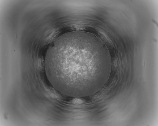 X0000091290218200708171353