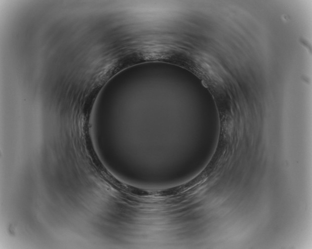 X0000091290219200708171353