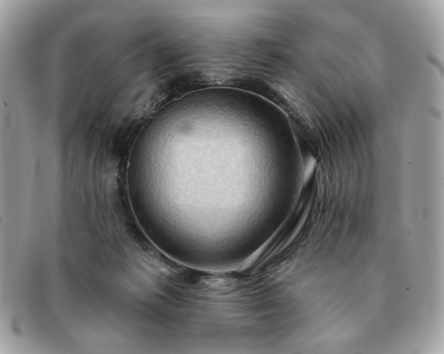 X0000091290221200708171353