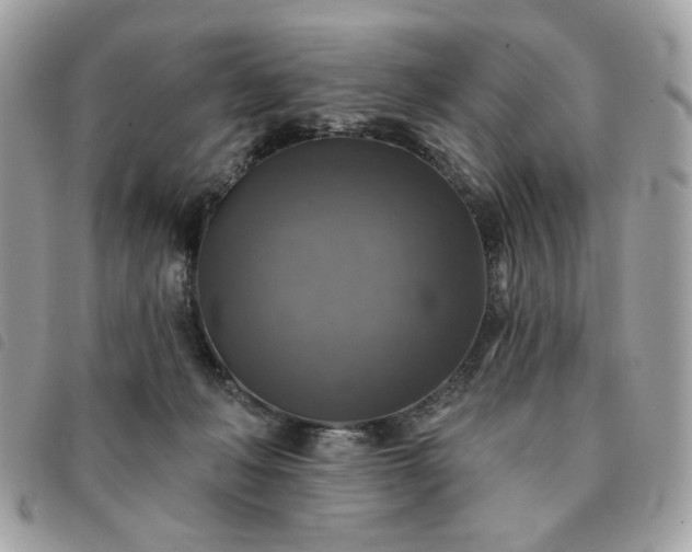 X0000091290222200708171353