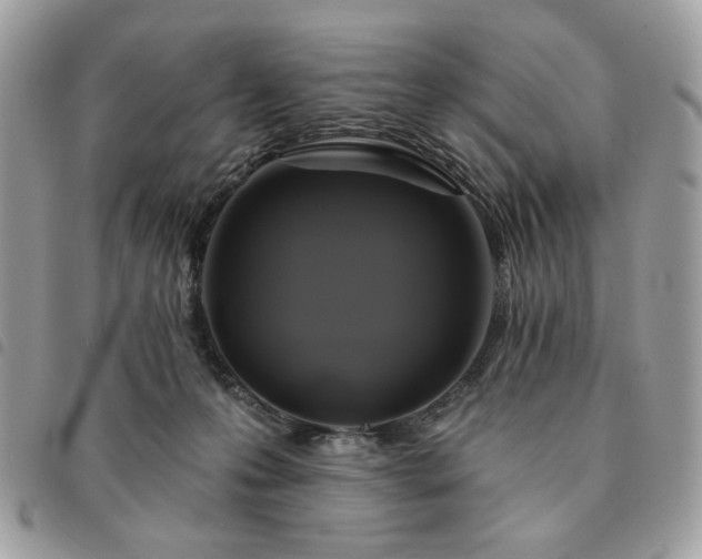 X0000091290223200708171353