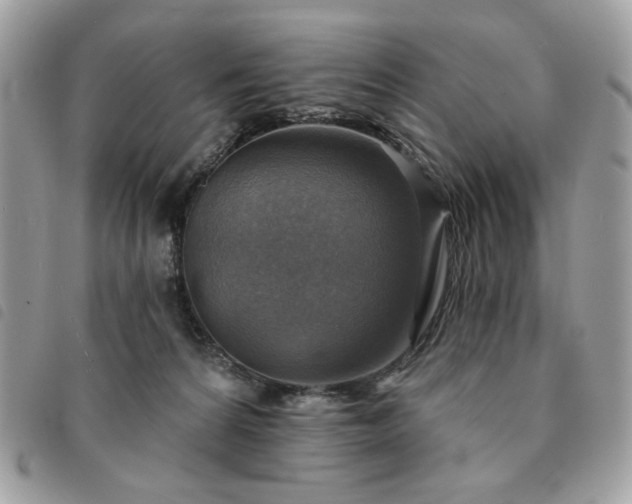 X0000091290224200708171353