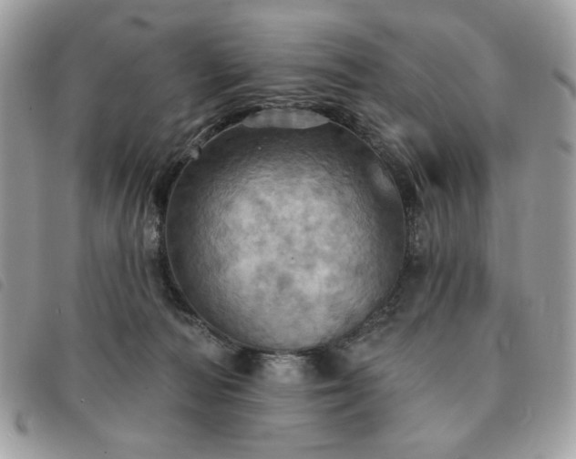 X0000091290226200708171353