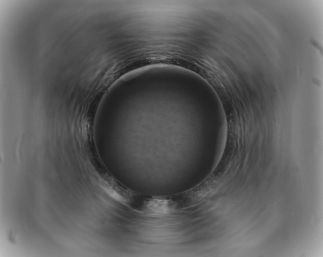 X0000091290227200708171353