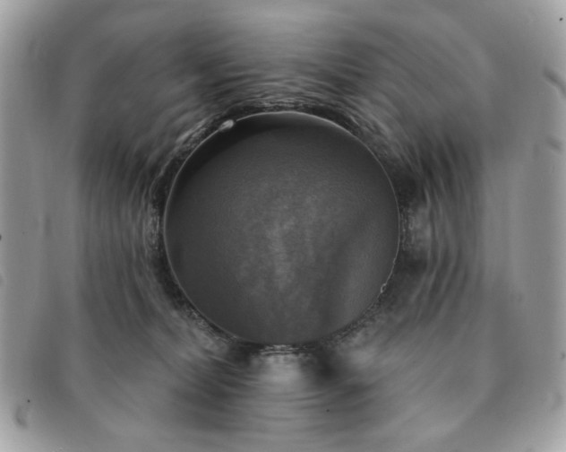 X0000091290228200708171353