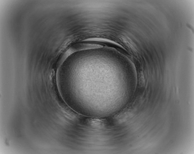 X0000091290229200708171352