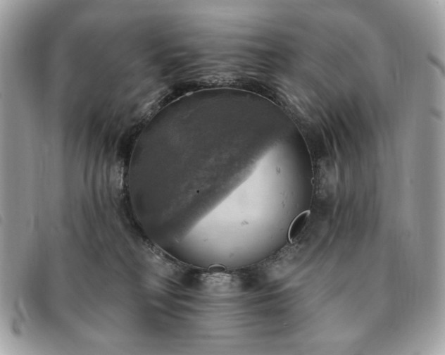 X0000091290230200708171352