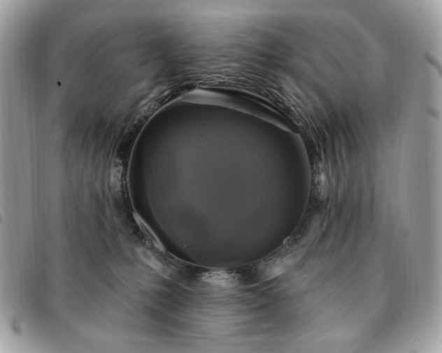 X0000091290231200708171352