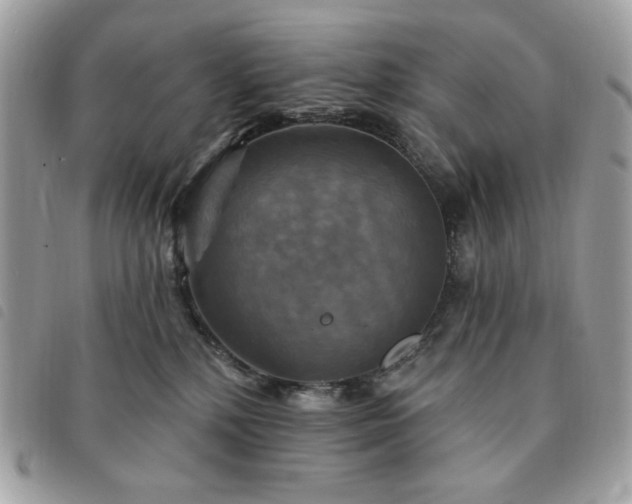 X0000091290232200708171352