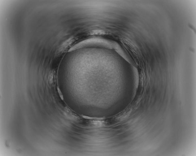 X0000091290233200708171352