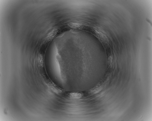 X0000091290234200708171352