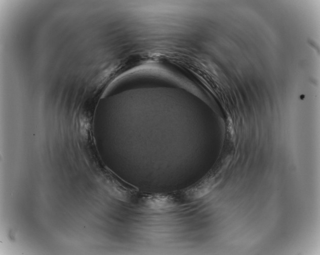 X0000091290235200708171352