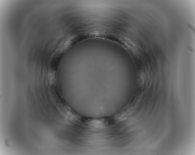 X0000091290236200708171352