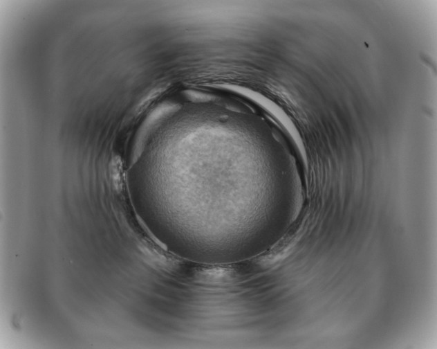 X0000091290237200708171352