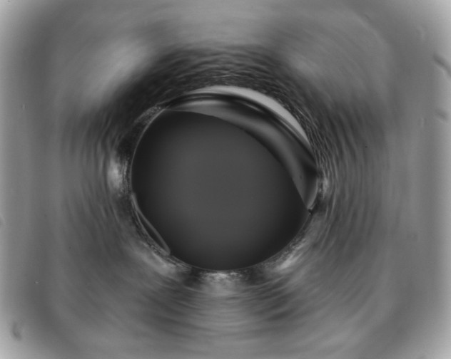 X0000091290239200708171352