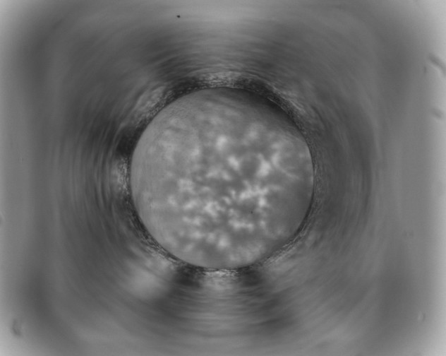 X0000091290240200708171352