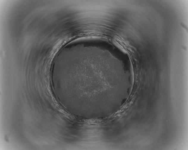 X0000091290241200708171352