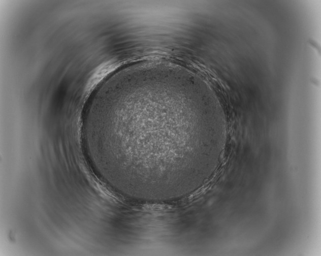 X0000091290242200708171352