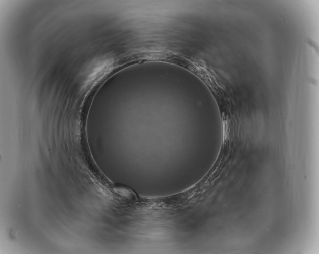 X0000091290243200708171352