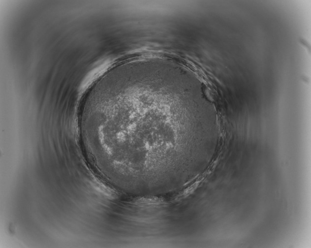 X0000091290245200708171352