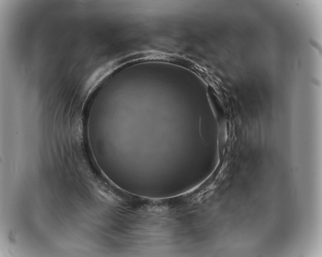 X0000091290247200708171352