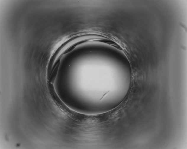 X0000091290248200708171352