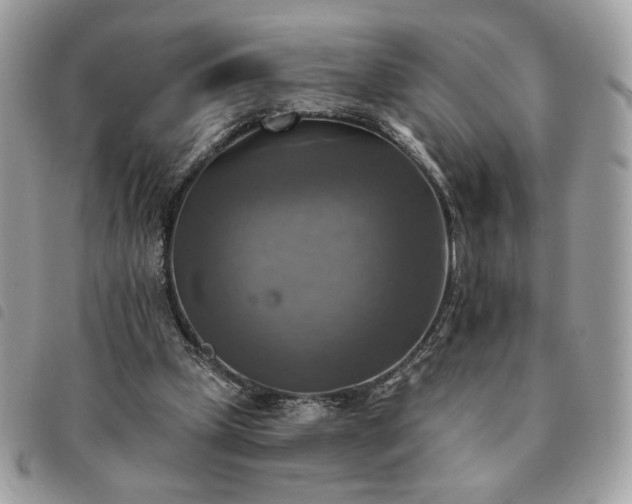 X0000091290249200708171352