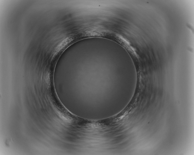 X0000091290250200708171352