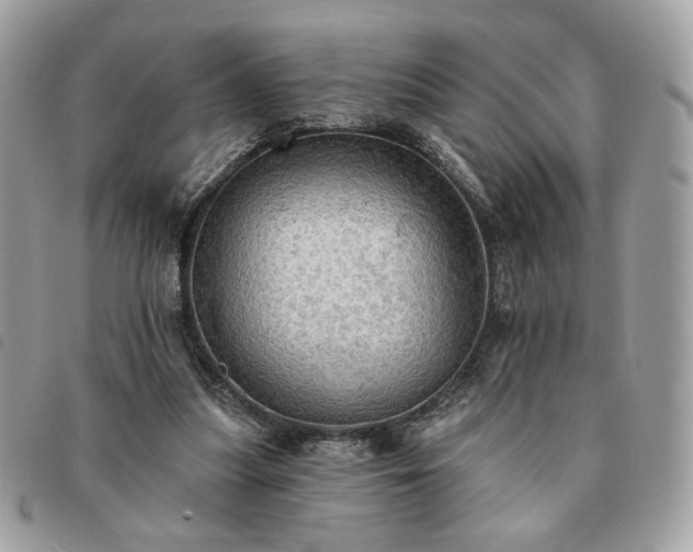 X0000091290251200708171352